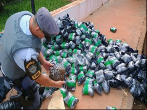 Caminhoneiro tenta esconder 360 kg de maconha em fundo falso, mas é preso no interior de SP