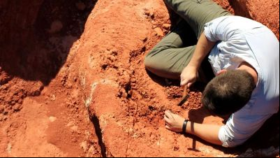 Fóssil descoberto no Brasil lança luz sobre origem dos dinossauros