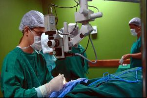 Câncer de bexiga ultraa 19 mil mortes em 4 anos