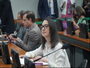 Rosangela Moro sugere reserva de orçamento para raros e PcDs em MP de incentivo à compra de veículos sustentáveis