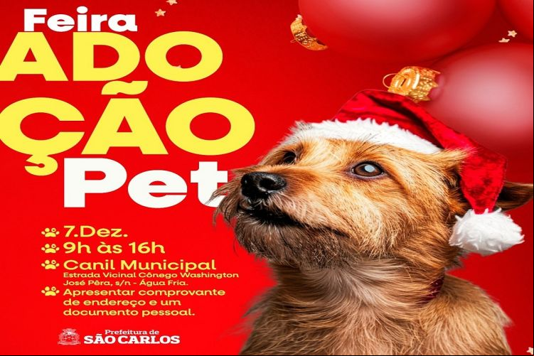 Canil Municipal vai realizar em 7 de dezembro a última feira do ano para adoção de pets