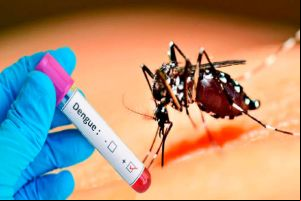 São Carlos chega próximo dos 15 mil casos positivos de dengue