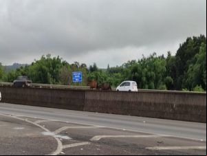 Cavalos são flagrados na Rodovia Washington Luís