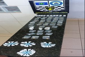 Equipe Canil localiza drogas no Santa Felícia