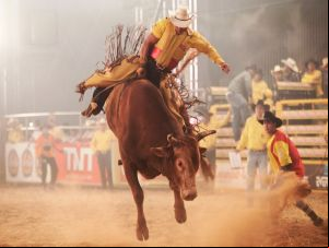 Juíza suspende lei que regulamenta rodeios em São Carlos