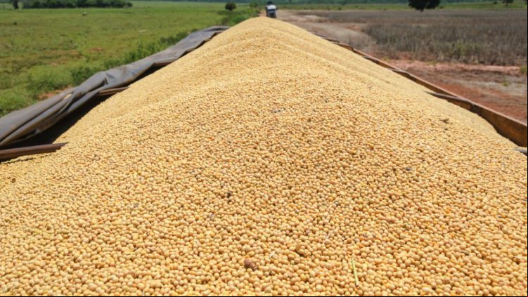 EUA Planta Mais e Deve Aumentar a Oferta de Milho no Mundo em 2026