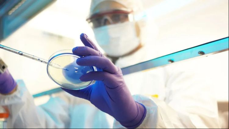Cientistas chineses são acusados de levar fungo tóxico aos EUA