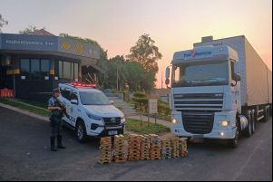 PM Rodoviária apreende quase 200 kg de maconha no interior de São Paulo