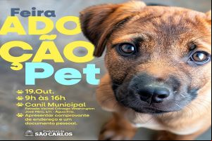Feira de adoção pet acontece sábado no canil municipal